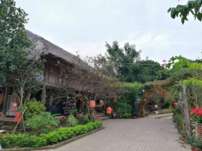Hoa Mai Viên Sóc Sơn - Venue Travel